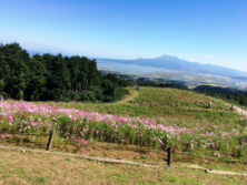 諫早市の白木峰